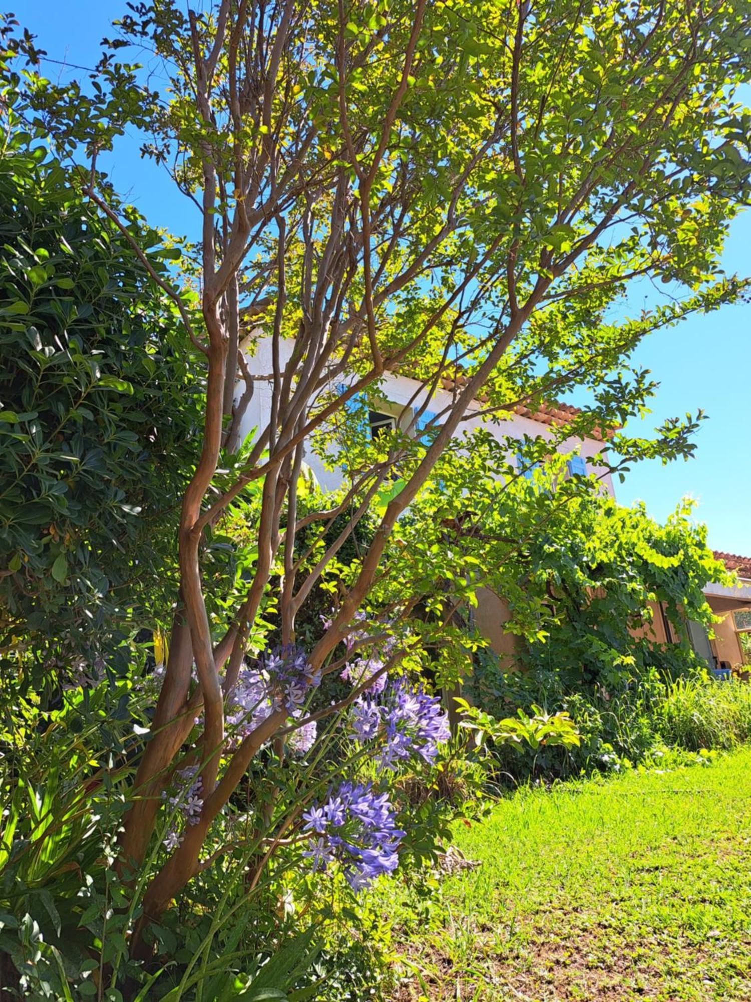 Ferienwohnung Les Oliviers Valbonne Exterior foto